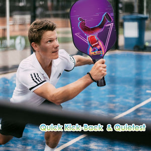 Pickleball Rackets , PB00025 Hip-Hop Artists Best Pickleball Racquets - Best Indoor Pickleballs Quiet Pickleball Balls