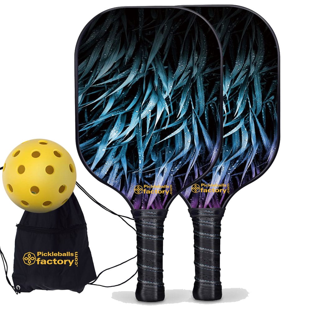 Pickleball Starter Set, PB00045 Leaves Pickleball Paddles , Portable Picklenet