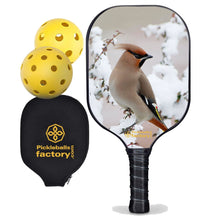 Load image into Gallery viewer, Best Pickleball Paddle , PB0004 Peace Bird Outdoor Voices Pickleball - Official Pickleball Balls
