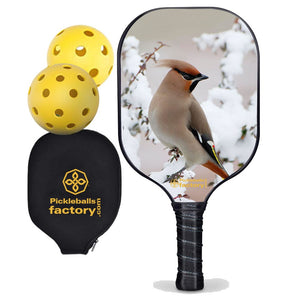 Best Pickleball Paddle , PB0004 Peace Bird Outdoor Voices Pickleball - Official Pickleball Balls