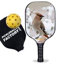 Load image into Gallery viewer, Best Pickleball Paddle , PB0004 Peace Bird Outdoor Voices Pickleball - Official Pickleball Balls
