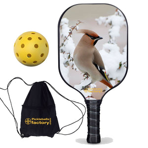 Best Pickleball Paddle , PB0004 Peace Bird Outdoor Voices Pickleball - Official Pickleball Balls