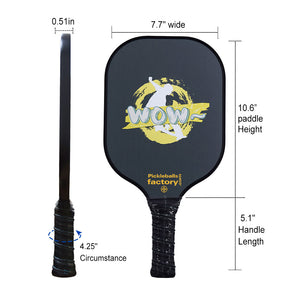 Pickleball Set | Best Pickleball Paddles 2021 | Pickleball Paddles For Beginners | SX0030 WOW SKI Pickleball Paddle Vendor for Amazon